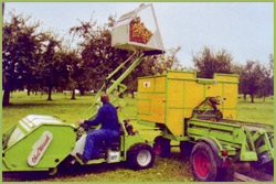 ow 300